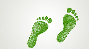Kleiner ökologischer „Fußabdruck“